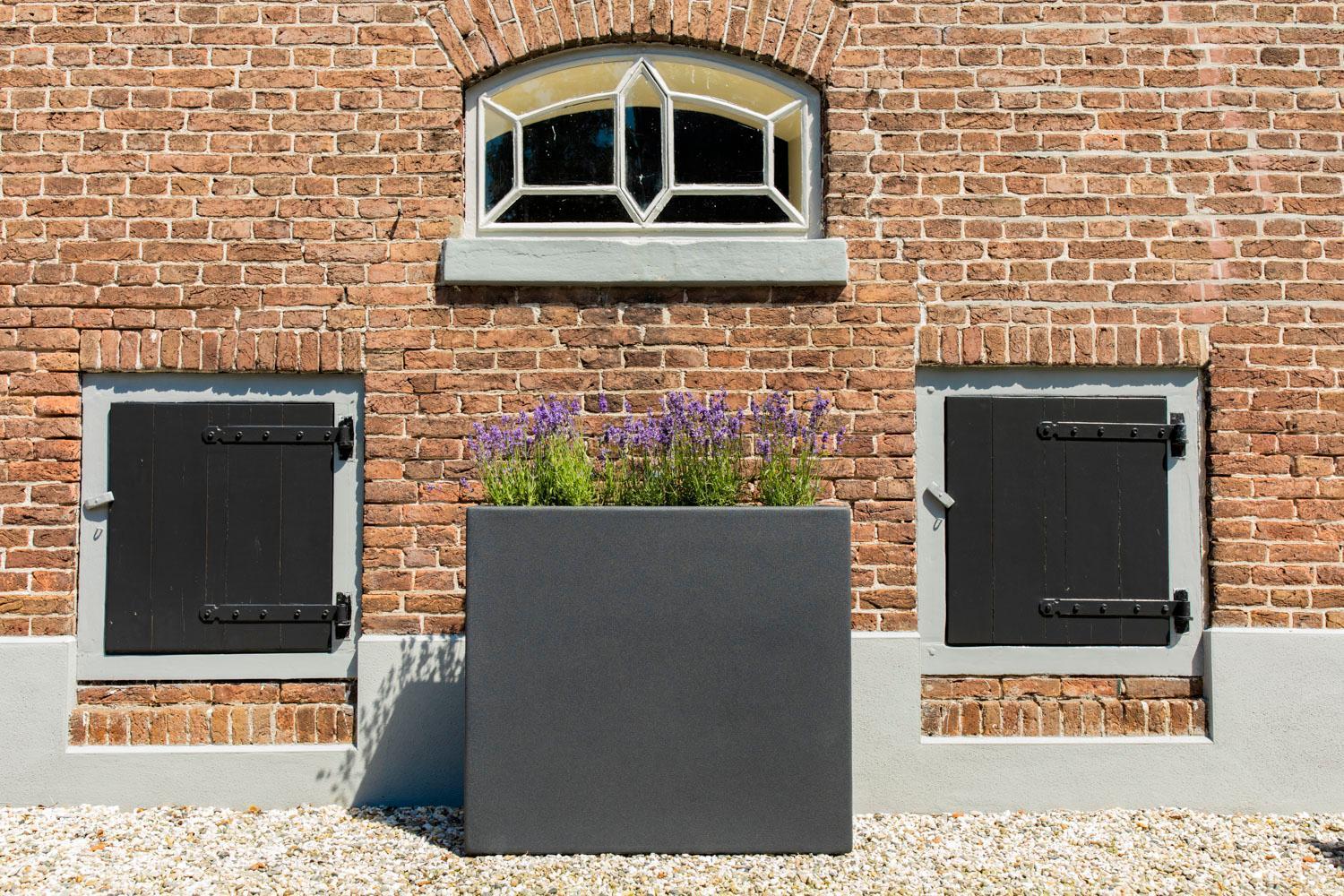 Bed and Breakfast B&Nb The Barnhouse Bergambacht Экстерьер фото